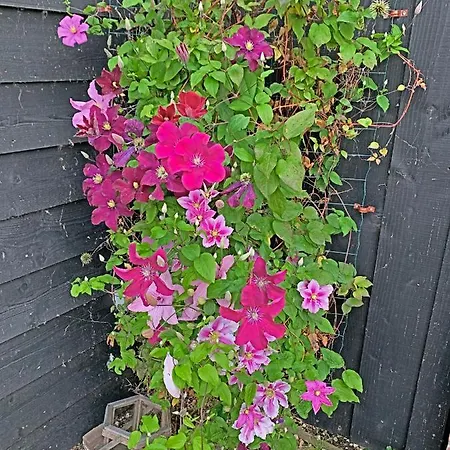 Christinahoeve Oude Deel #1 Farma *