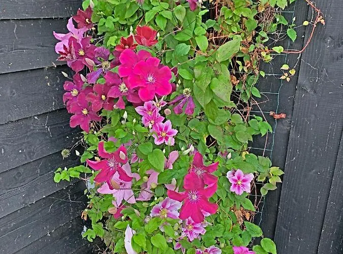 Christinahoeve Oude Deel #1 팜스테이 *